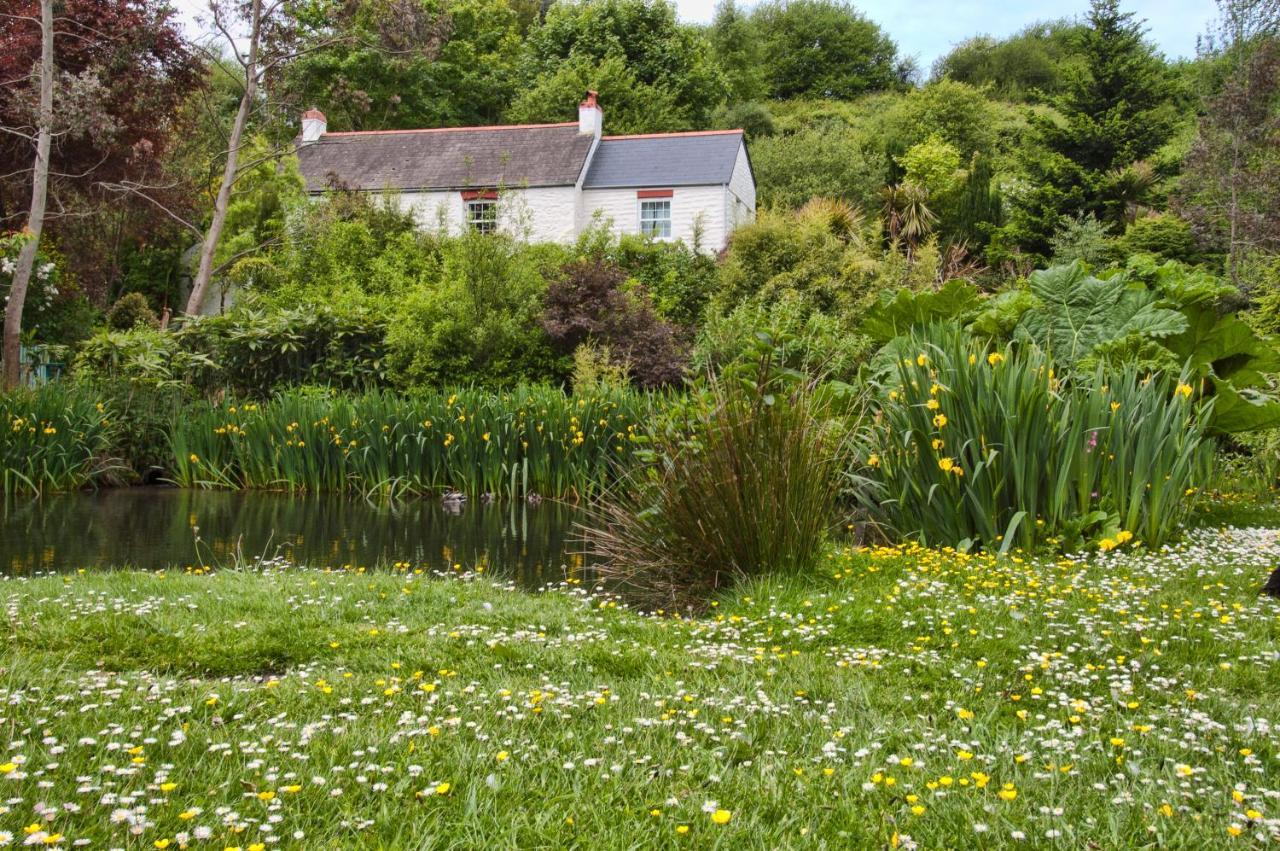 Holiday Cottage Falmouth Penryn Zewnętrze zdjęcie